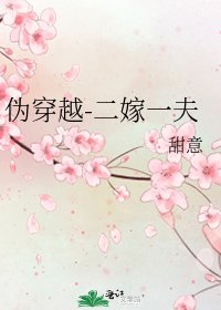 《偽穿越-二嫁一夫》