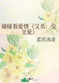 《碰碰看愛情(又名:交叉愛)》