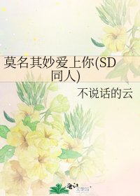 莫名其妙蔼上你(SD同人)