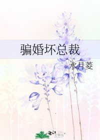 《骗婚坏总裁》