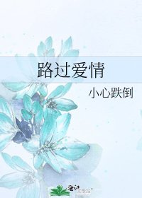 《路过爱情》