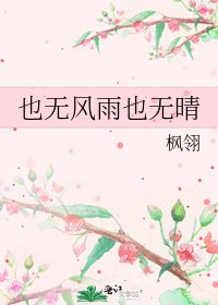 《也无风雨也无晴》