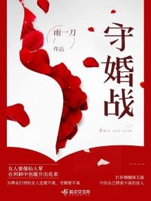 《守婚战》