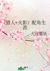 《(猎人+火影)配角生涯》