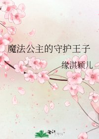 《魔法公主的守护王子》