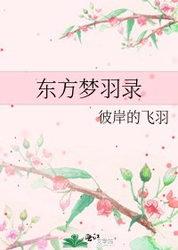 东方梦羽录