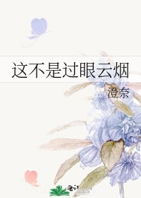 《這不是過眼雲煙》