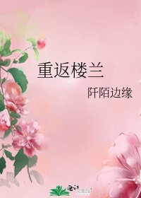 《重返楼兰》