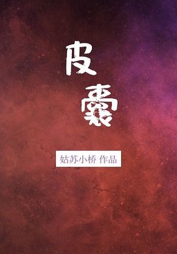 《皮囊》