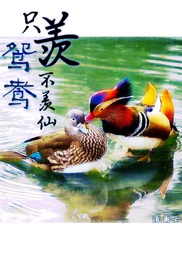 《只羡鸳鸯不羡仙》
