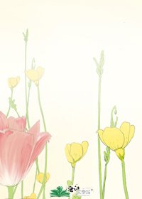 神女追夫记