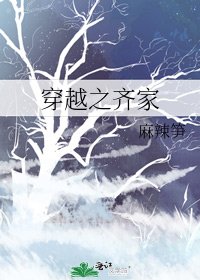 《穿越之齊家》