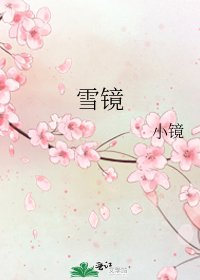 《雪镜》