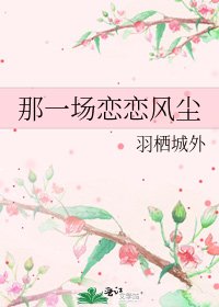 《那一场恋恋风尘》