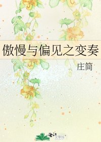 《傲慢与偏见之变奏》