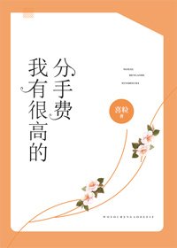 《我有很高的分手費》