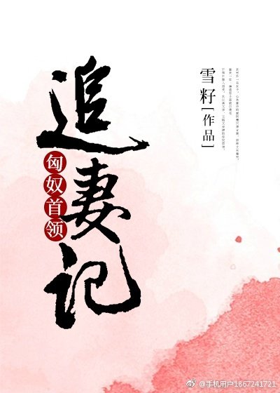 《匈奴首领追妻记》