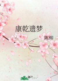 《康乾遗梦》