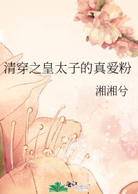 《清穿之皇太子的真爱粉》