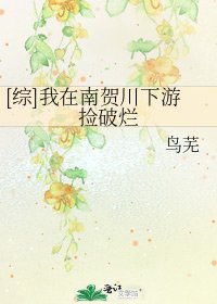 [综]我在南贺川下游捡破烂