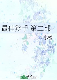 最佳辩手 第二部