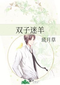 《双子迷羊》