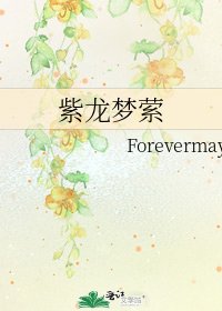 《紫龙梦萦》