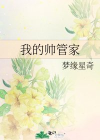 我的帅管家