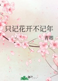 只記花開不記年