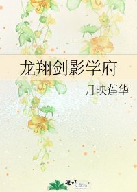 龍翔劍影學府