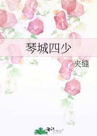 《琴城四少》