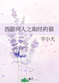 西游同人之取经的猫