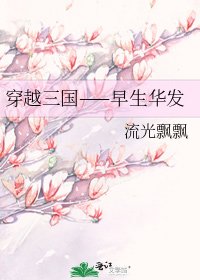 穿越三国——早生华发