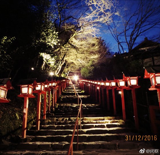 《萤夏-刀剑乱舞》