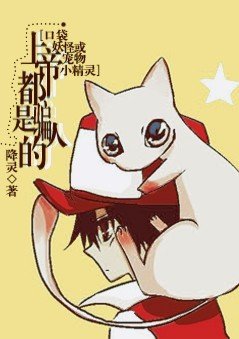 [口袋妖怪或宠物小精灵]上帝都是骗人的