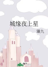 城缘夜上星