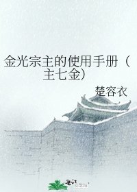 金光宗主的使用手册（主七金）