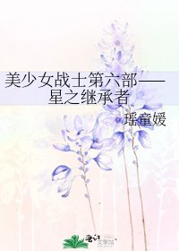 美少女战士第六部——星之继承者