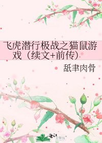飞虎潜行极战之猫鼠游戏(续文+前传)