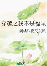 《穿越之我不是福星》