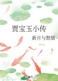 《贾宝玉小传》