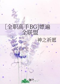 ［全职高手BG]嫖遍全联盟
