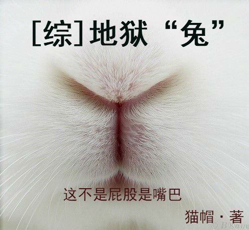 [综]地狱“兔”