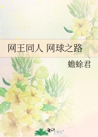 网王同人 网亿之路