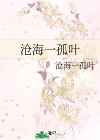 沧海一孤叶