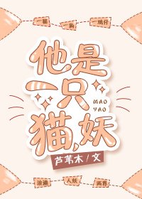 《他是一只猫,妖》
