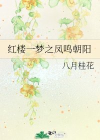 红楼一梦之凤鸣朝阳