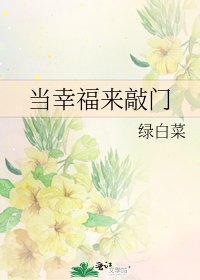 《当幸福来敲门》