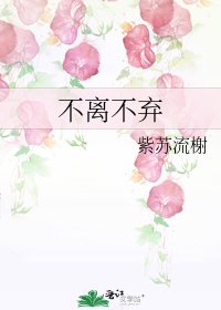 不离不弃