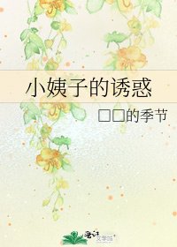 小姨子的诱惑